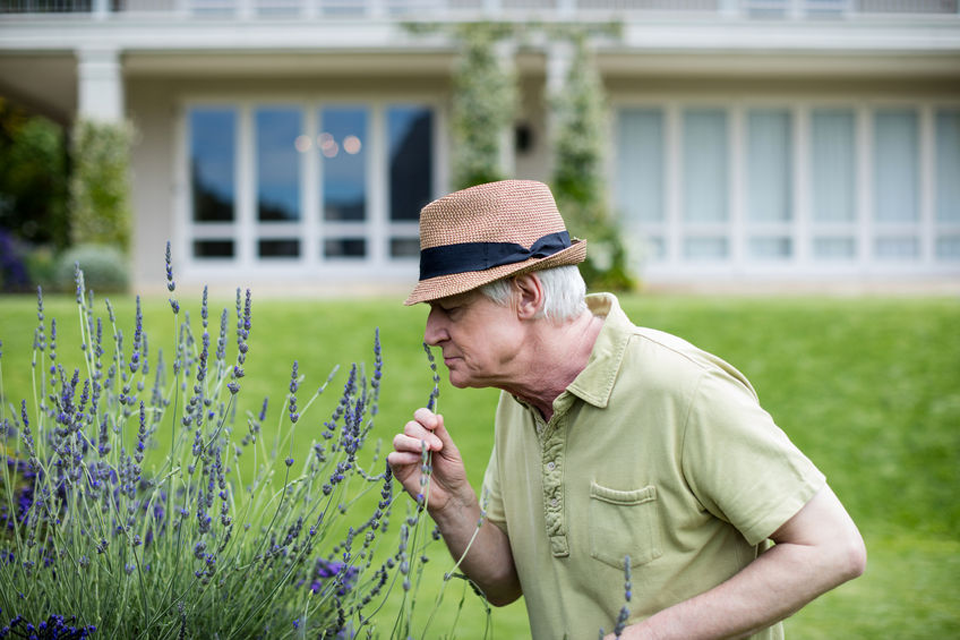 Elderly man in sensory garden