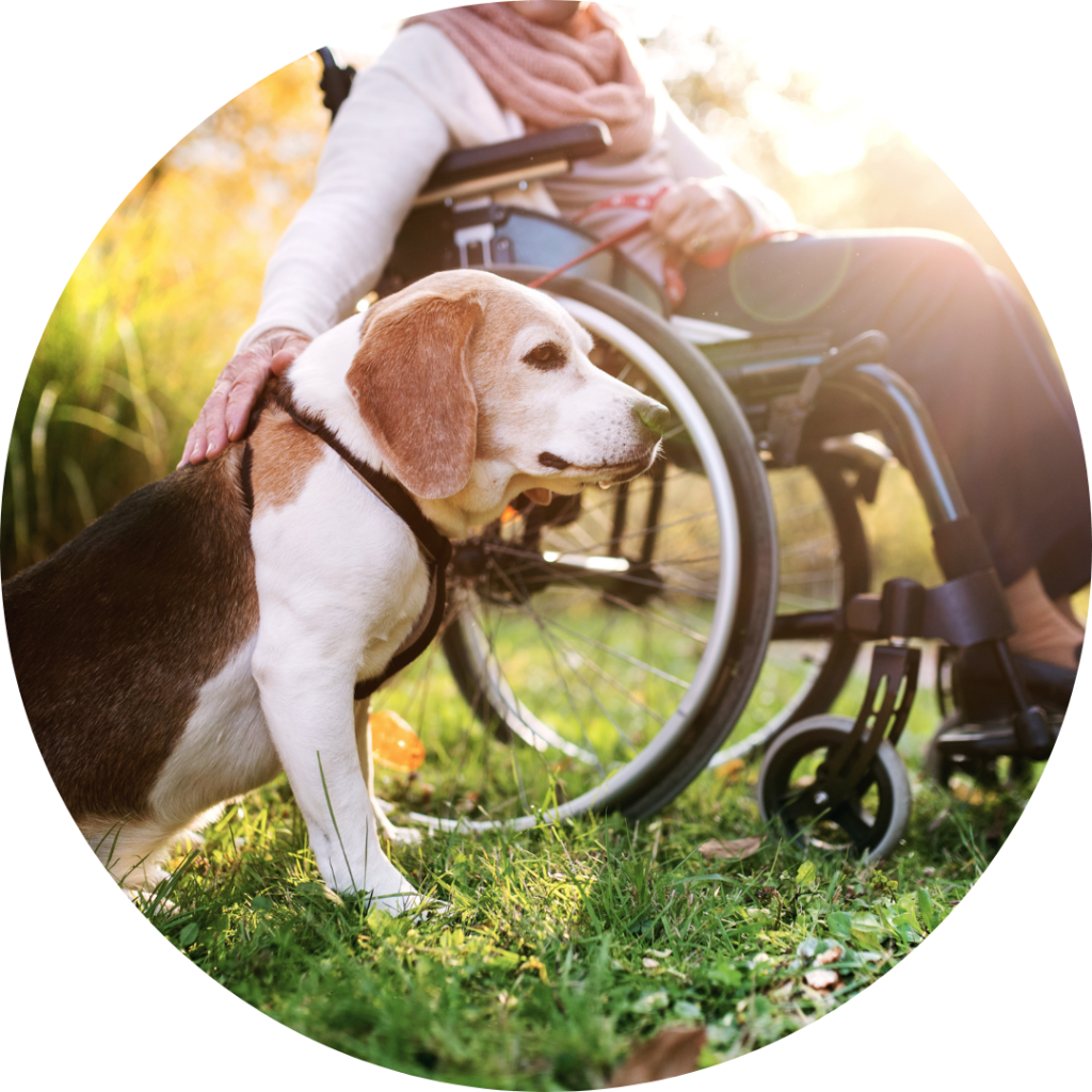 Elderly care with pets