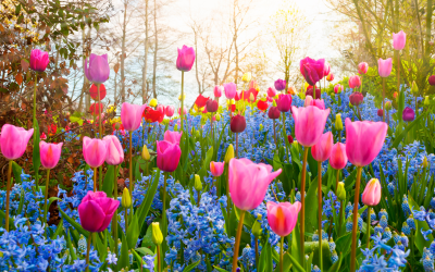 Easter Activities for Dementia: Engaging and Meaningful Ways to Celebrate