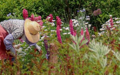 Woman gardening