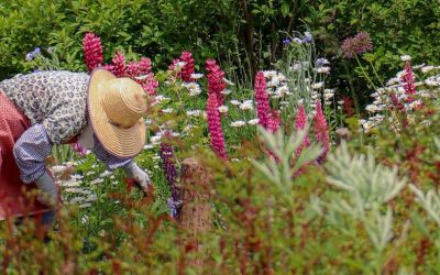 Benefits of gardening for the elderly